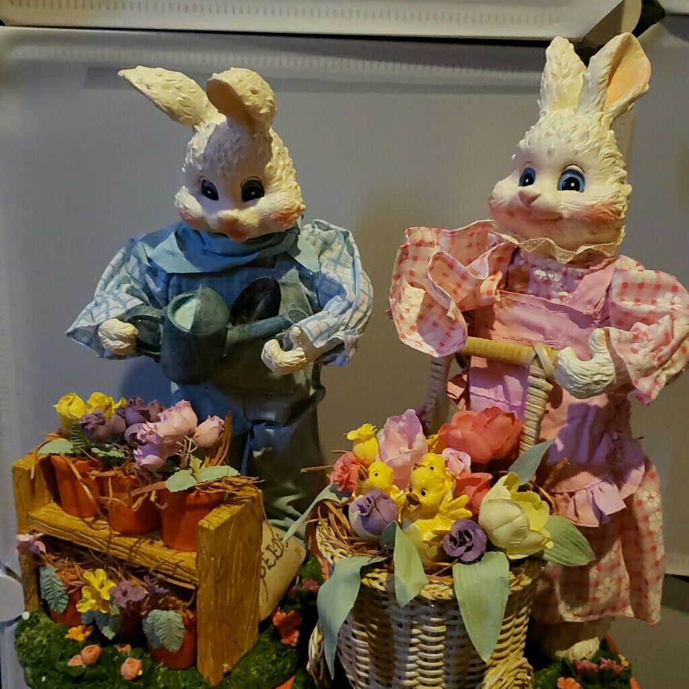 Bunnies